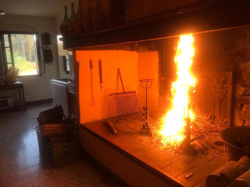 Casa Vacanze Podere Marilla Peccioli Dış mekan fotoğraf