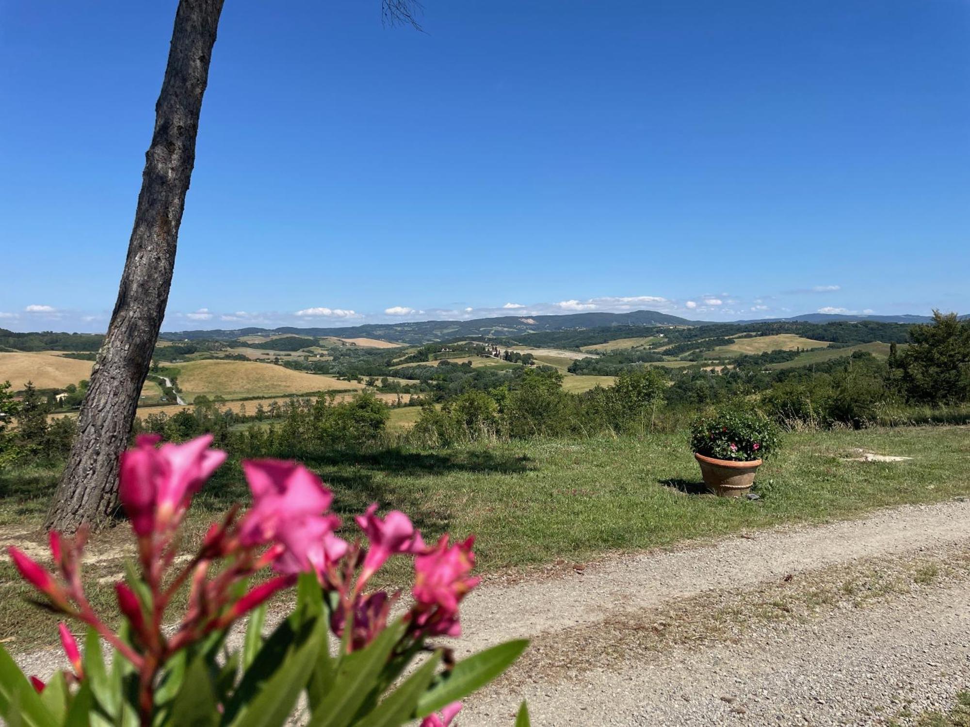 Casa Vacanze Podere Marilla Peccioli Dış mekan fotoğraf